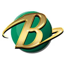 bumi303 APK Domino